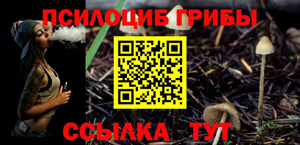 Галлюциногенные грибы мицелий Серов